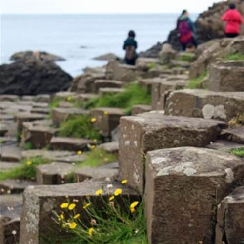 Game of Thrones Northern Island North Tour of Giant Causeway Stones Game of Thrones Northern Island North Tour of Giant Causeway Stones